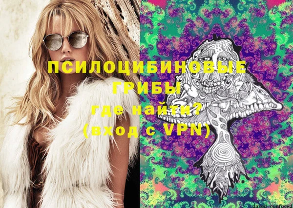 МДПВ Алексин