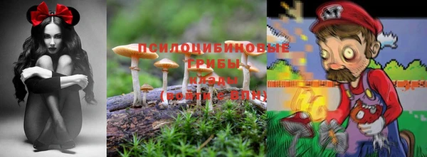 МДПВ Алексин