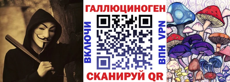Галлюциногенные грибы Psilocybe Нарьян-Мар
